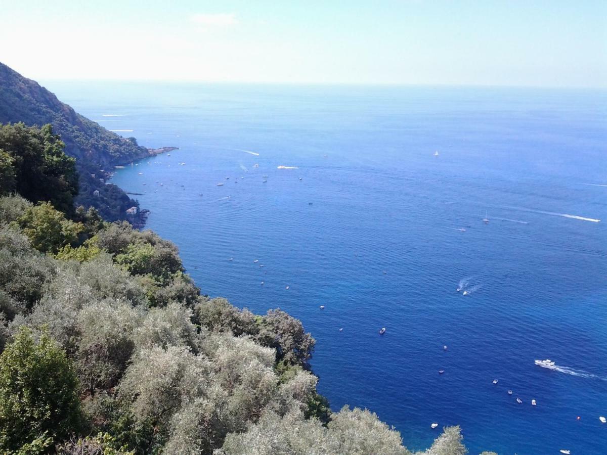 Casa Constanza Pace E Relax In Liguria Apartment คาโมยลี ภายนอก รูปภาพ